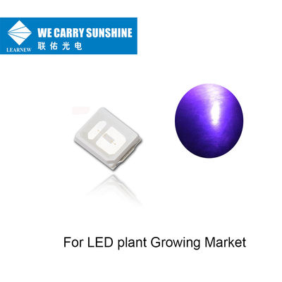 Rentang umur panjang UVA Led 395-405nm 150-200mW UV LED Chip untuk tanaman LED Tumbuh