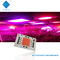AC 110V 220V 50W 100W Driverless COB LED Chip 380-780nm Untuk Tumbuh / Lampu Jalan