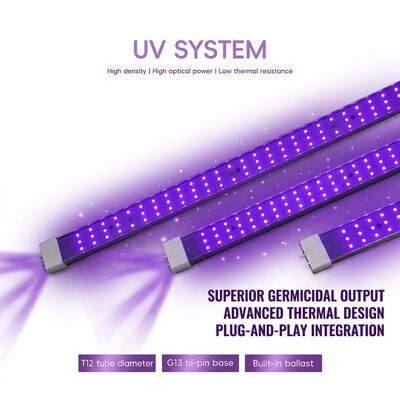 Solusi UVC 365nm 370W 100W 120W Lampu Germisida UV Pemasok Lampu Eksimer Cahaya UVC Jauh
