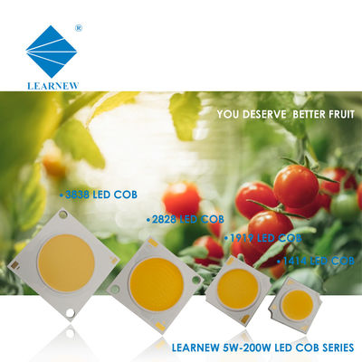 LED COB untuk lampu dinding dan lampu sorot
