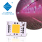 Full Spectrum AC 50w LED COB Chip 200v 240v 4046 AC LED Chip Untuk Menumbuhkan Cahaya