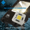 100W AC LED CHIP Full Spectrum Putih 3000k 6000k Tinggi Cri AC COB LED Chip