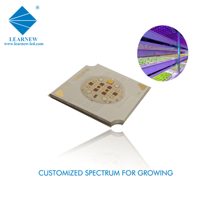 Full Spectrum Grow Light LED COB 4W 12-18 Umol/s DC23-26V 0.17A untuk lampu tanaman dalam ruangan