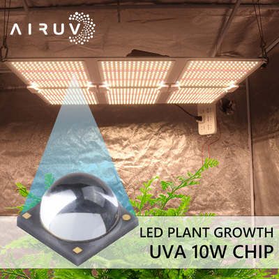 10W 365nm 385nm 395nm 6-7V Uva 3W Led Chips Untuk UV Curing