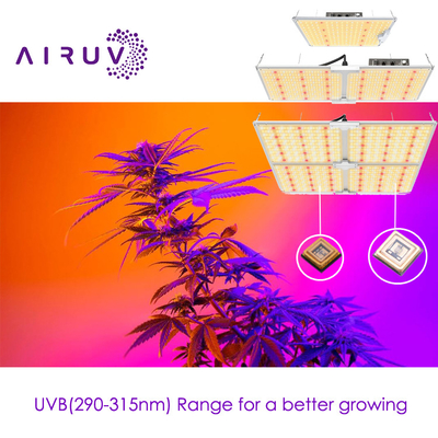 10w 20w 100w UVA UVB UVCLED COB Efisiensi tinggi 365nm 385nm 395nm Led hemat biaya