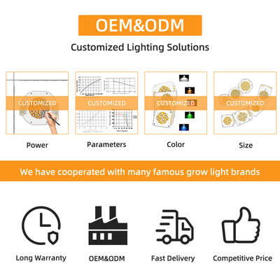 Daya Tinggi 300W 6060 Led Cob Chip Bi Warna Untuk Lampu Kamera Lampu panggung