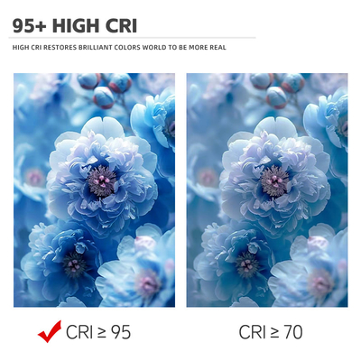 Bi Color 300W 6060 High Power COB Led Chip High Out Put Untuk Pencahayaan Film