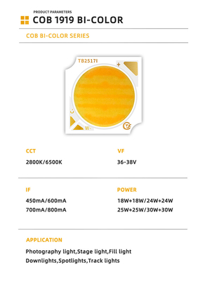 Bi-Color 1919 Chip Putih + Warm Putih 1919 Bi-color SMD LED 18w 24w 25w 30w