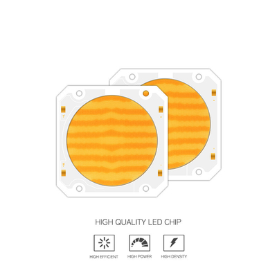 OEM ODM panjang gelombang BI Warna 205V SMD led chip Warm putih + putih 6060 SMD LED chip Emitting