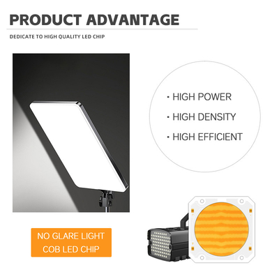 OEM ODM panjang gelombang BI Warna 205V SMD led chip Warm putih + putih 6060 SMD LED chip Emitting