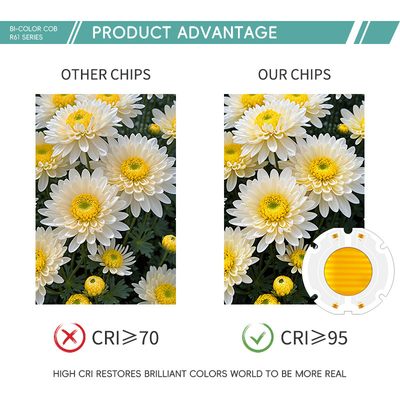 kekuatan tinggi 200W 6060 led cob chip bi warna chip untuk cahaya fotografi