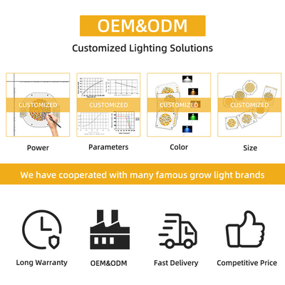 LED COB Chip 200W VF 45V LED manik DIY Spektrum penuh Disesuaikan