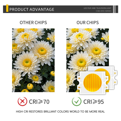 Power LED yang disesuaikan 300W Bi-color Warm + Cold White 4055 Bicolor Two CCT CRI95 COB LED Chip
