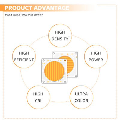 Professional Grade 5454 Dual Color Temperature LED CHIP untuk lampu fotografi dan lampu panggung