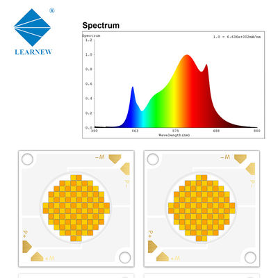 Chip LED COB Kepadatan Tinggi 3838 200W CRI97 2700-6500K Lampu Fotografi
