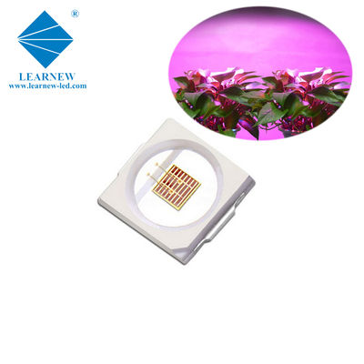 1W SMD 3030 Chip LED Biru Lampu Tumbuh 440-470nm 300mA 3.0-3.4V