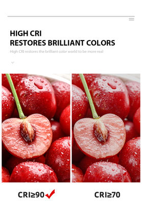 50W 24V COB LED Chip 19x19mm Ra95 for Indoor Lighting