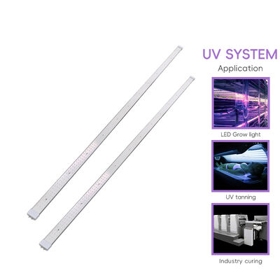 120W 100W Bi Pin Lamp Penyamakan Pabrik OEM/ODM Logo 70 inci 60 inci 365nm Tabung untuk Kulit