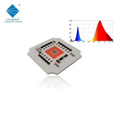 100w 7070 Low Thermal Resistance GROW LED COB untuk Pencahayaan Tanaman