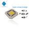 25*25mm 100 Watt COB LED Chip 120DEG 110V LED COB Untuk Lampu Lansekap