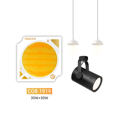 Produk Baru Bi-Warna 1919 Chip Putih + Putih Hangat 1919 LED SMD Bi-warna 18w 24w 25w 30w