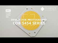 5454 Chip suhu warna ganda