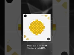 3838 LED COB berwarna ganda